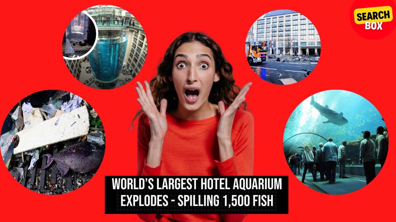 World's Largest Aquarium Burst | 1500 FISH DEAD | BERLIN RADISSON HOTEL