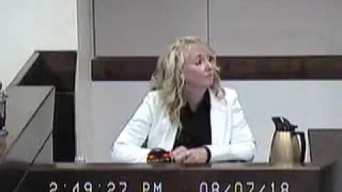 Norcutt matter before Clark County Family Court Judge Cheryl Moss 8.7.18 1-3