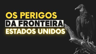 OS PERIGOS DA FRONTEIRA DOS ESTADOS UNIDOS!