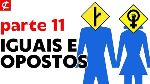 A Grande SEMELHANÇA do MGTOW 2.2 com FEMINISMO e tradicionalistas