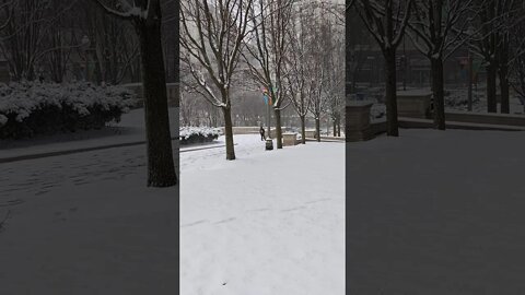 Snowfall in Chicago on 3/15/2021 | Millennium Park | #shorts