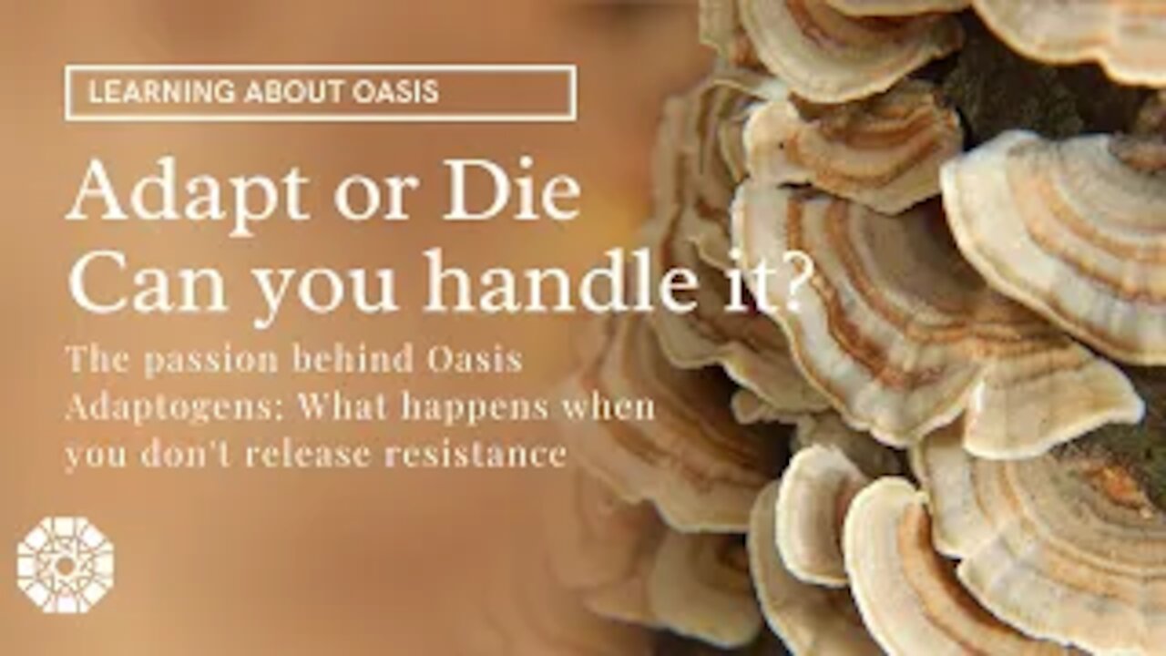Adapt or Die | Releasing resistance in our changing world