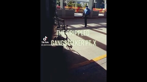 The Crippled Gangstalker Pt. X and XII : I am still recovering the other videos of this guy.(1)