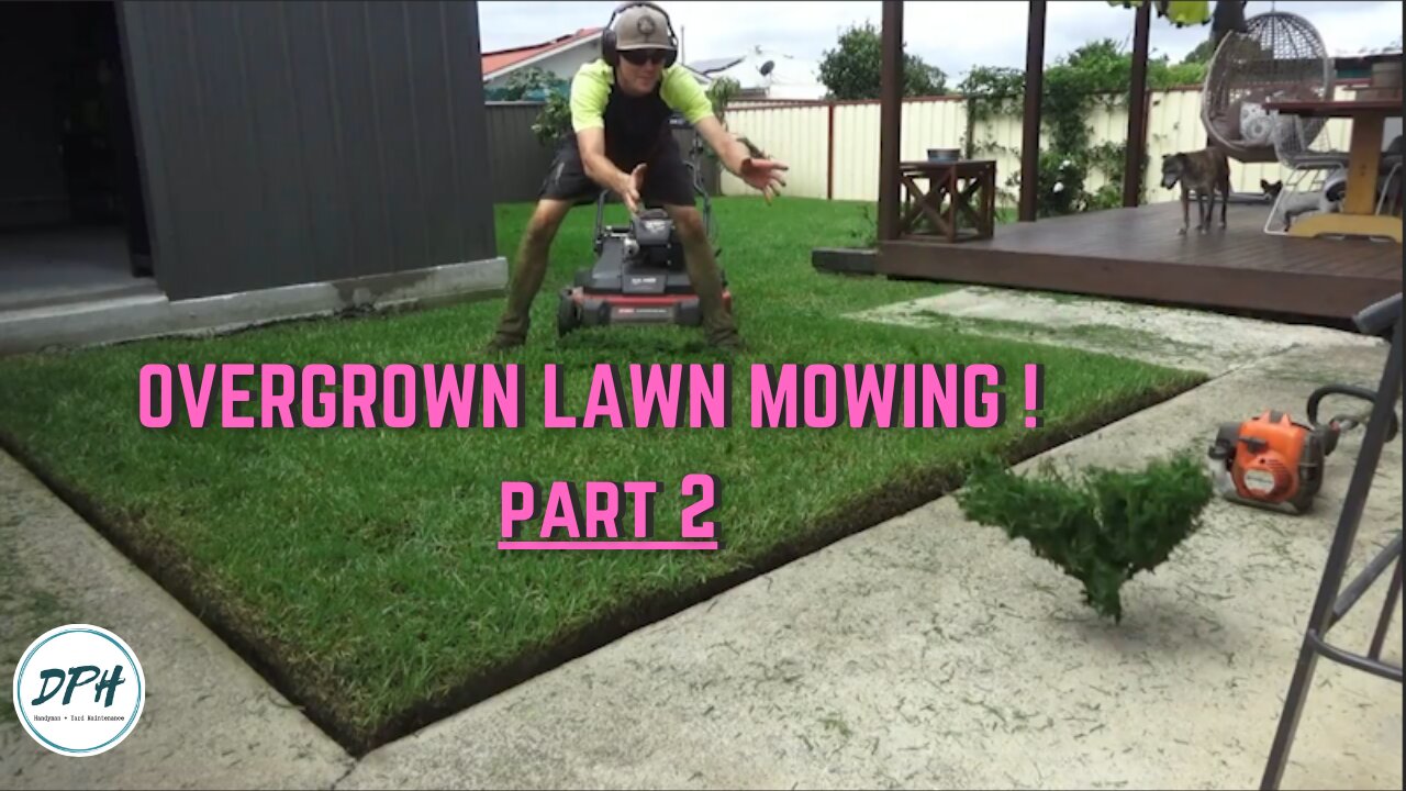 Overgrown Mowing Method // PART 2