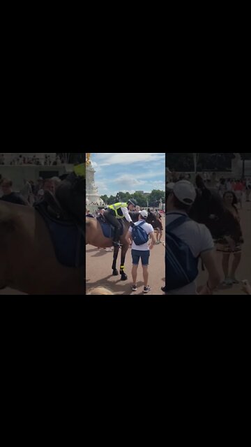 police women on horseback grabs tourist by his rucksack dont be rude to me #buckinghampalace part 1