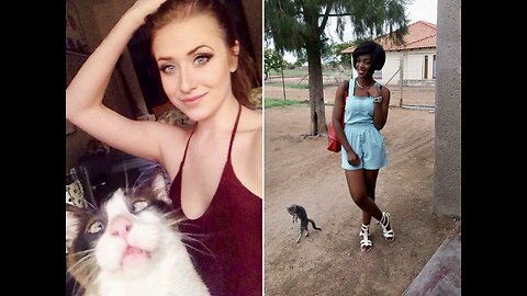 Try not to laugh😁 | Challenge |🐱😂