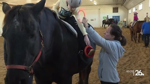 Pandemic helps popularity of equine therapy skyrocket