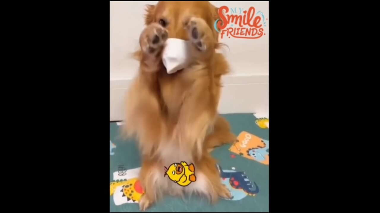 New Funny Videos 2024 😍 Funniest Cats & Dogs Videos🐶😹