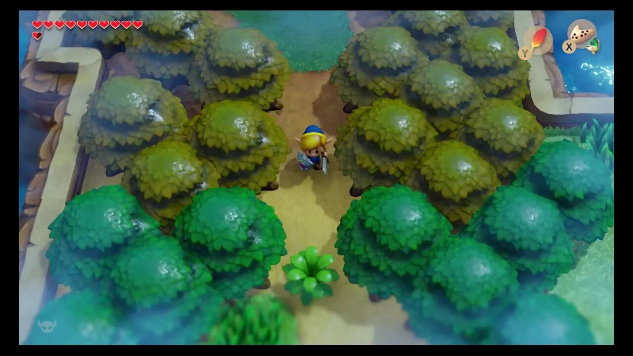 The Legend of Zelda: Link's Awakening (Switch) - Hero Mode 100% - Part 10: Sidequesting