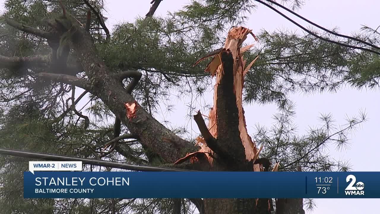 Severe storms knock out power, topple trees in area counties