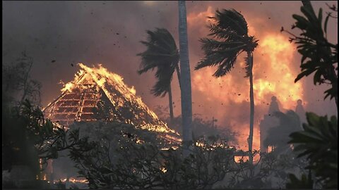 Maui Wildfires