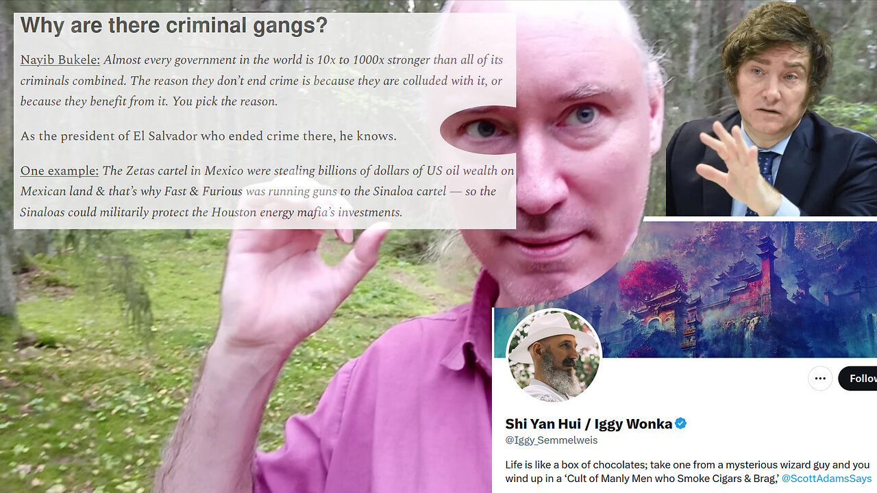 My Tate connection. UN against truth. The criminal state. Big builds. Money laundering. The X-game