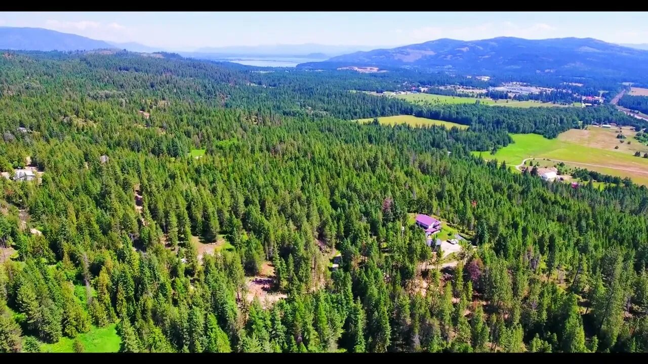 Looking to Escape To North Idaho? 5 Acres For Sale In Sagle