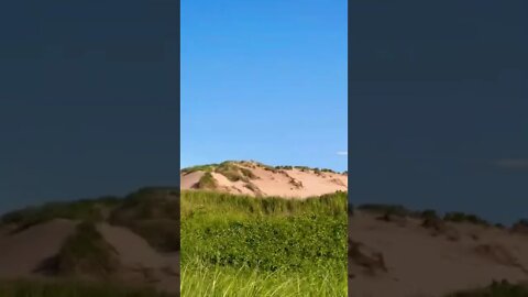 A gorgeous beach in Canada