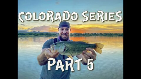 Colorado Bass and my FIRST of another species!!!