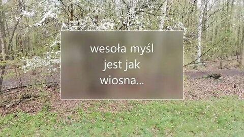 wesoła myśl jest jak wiosna ...