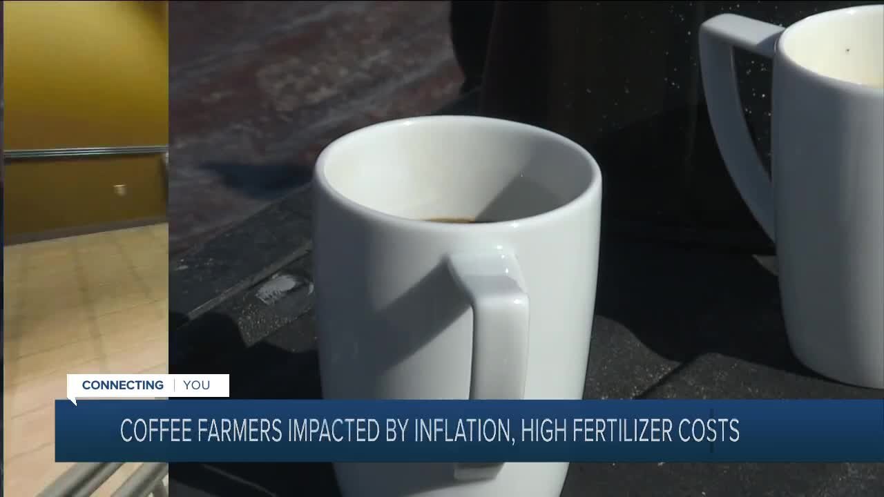 Coffee farmers impacted by inflation, high fertilizer costs