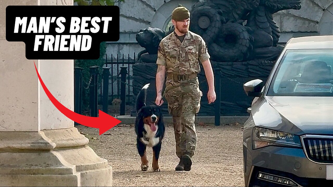 HORSE GUARD BRINGS HIS BEST FRIEND TO WORK 🐶