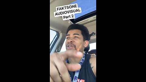 FAKTSONE AUDIOVISUAL part 2