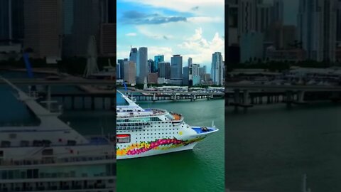 The Cruise Spotter