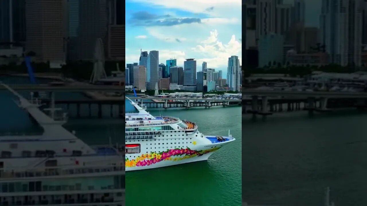 The Cruise Spotter