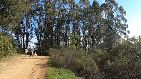 West Ridge Redwoods Timelapse Hike