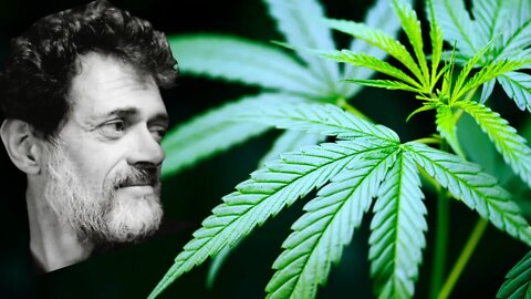 Terence McKenna - The Case for Legalizing Cannabis