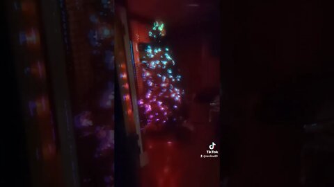 you and i will fall in love christmas tree