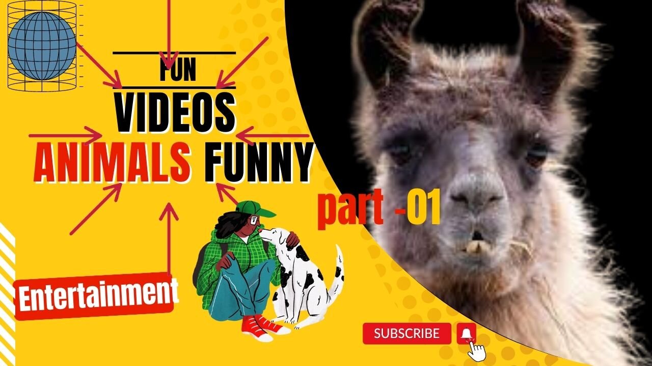 Animals Crazy Moments | Episode 083