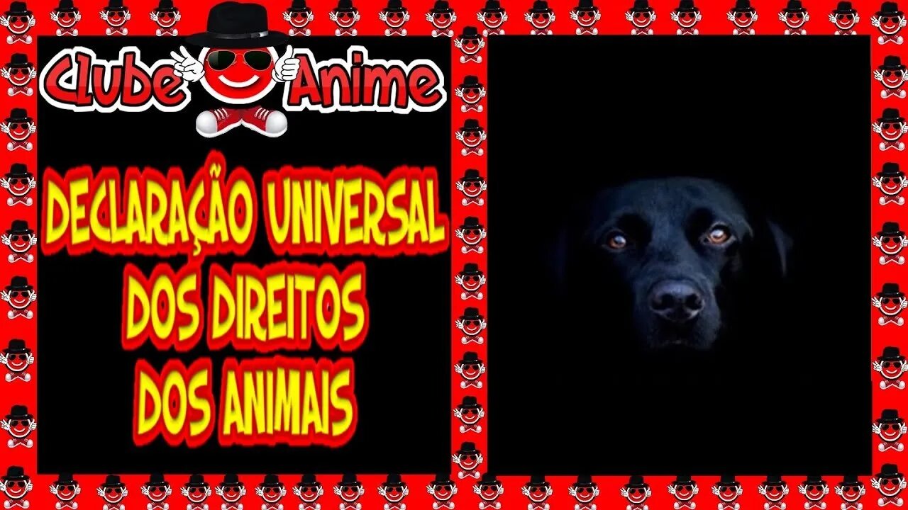 DECLARAÇÃO UNIVERSAL DOS DIREITOS DOS ANIMAIS | Animais Tem Direitos?| 2021