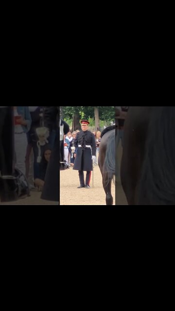 inspection of the horses #horseguardsparade