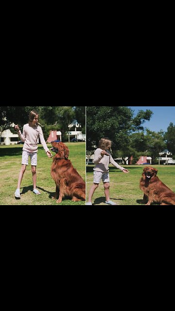 Girl playing with dog