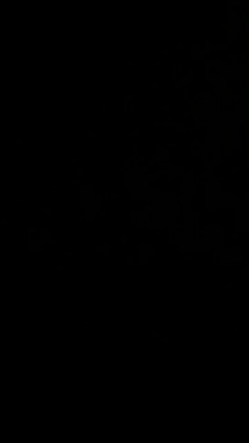 Constitutional silver