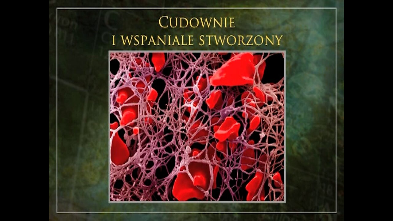 Gdzie jest prawda