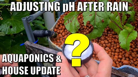 Adjusting pH of Overflowing Aquaponics System