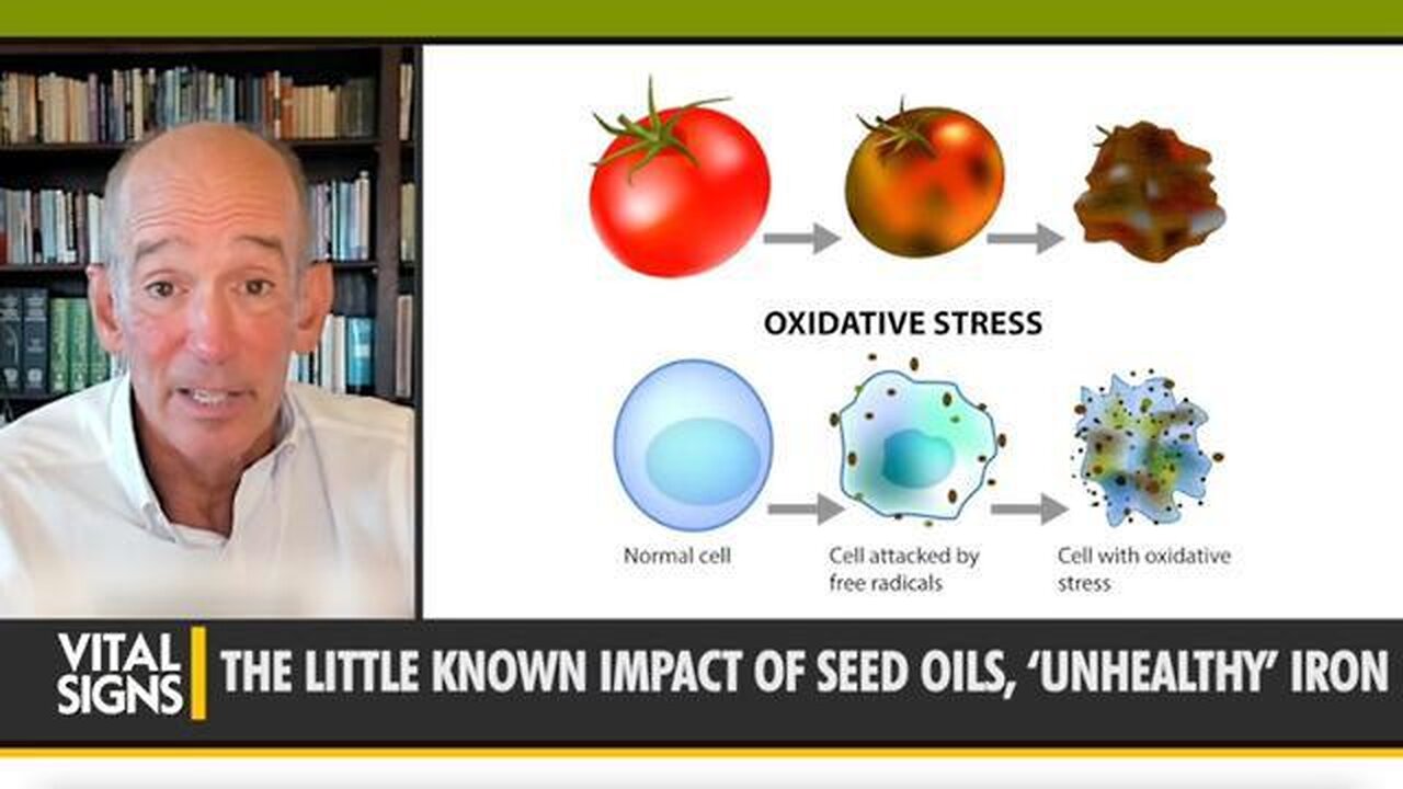 ARE VEGETABLE OILS KILLING US WE SWAPPED THEM IN FOR ANIMAL FATS 50 YEARS AGO - DR. MERCOLA