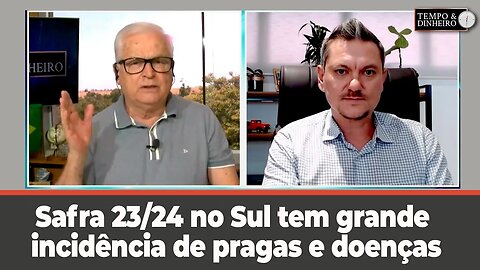 No sul tem grande incidência de pragas e doenças. O que fazer? Alexandre Gazzola orienta o produtor