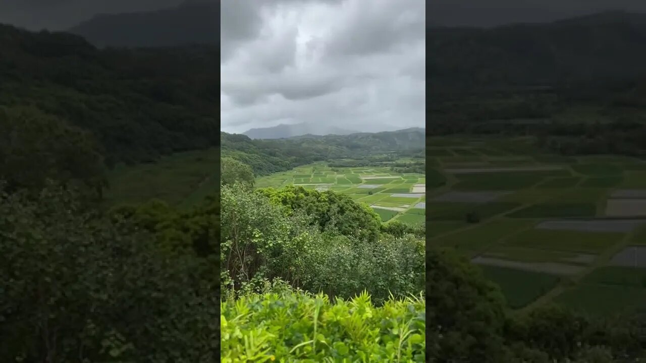 Hanalei Valley Lookout, Princeville, Kauai, Hawaii. On July 4th weekend.