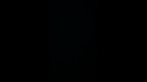 Progressive auto insurance