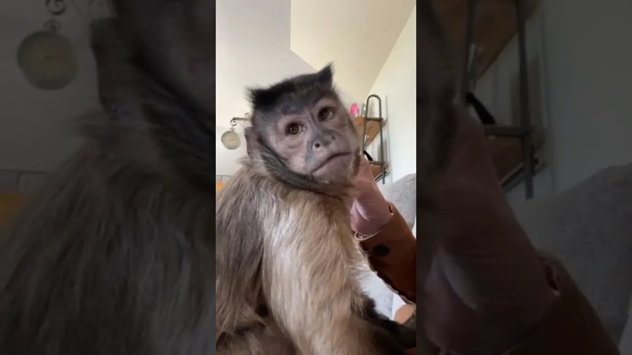 Gaitlyn Rae Sunday! Sundays are for Juice boxes and Mommy loving