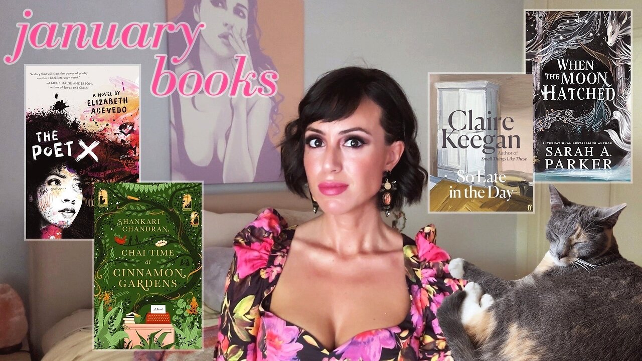 quiet domestics, rebellion verse, stone dragons & heavy chai | january book reading VLOG