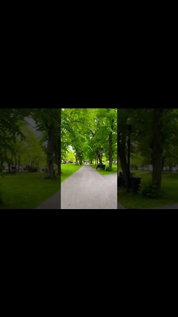 Victoria Park in Downtown Halifax #shorts
