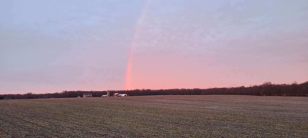 The Early Bird Catches The Rainbow!