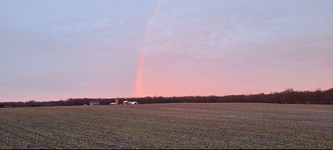 The Early Bird Catches The Rainbow!