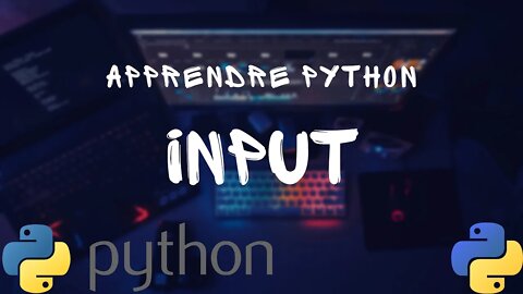 APPRENDRE PYTHON - FONCTION INPUT