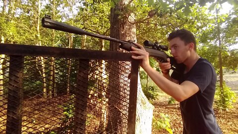 Gamo Silent Cat Testing