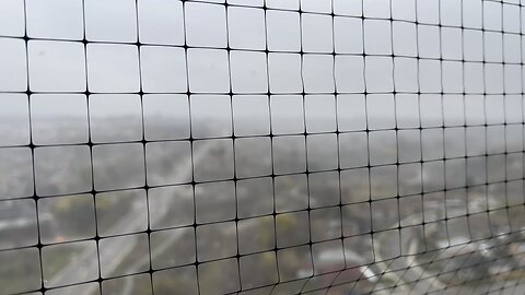 First snow drizzle in Toronto Ontario 😱