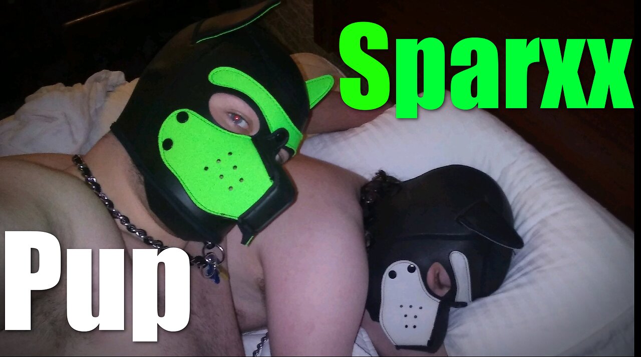 Pup Talk S03E23 with Pup Sparxx (Recorded 1/2/2019)