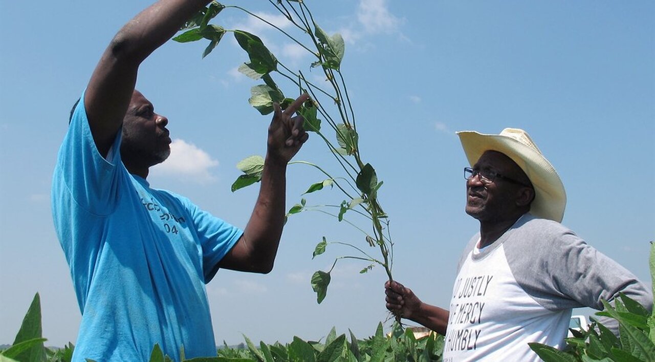 Tennessee Farmers Forced to Fight for Their Land Against Eminent Domain