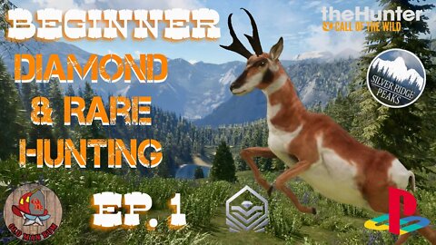 Beginner Diamond & Rare Hunting Ep. 1 theHunter Call of the Wild